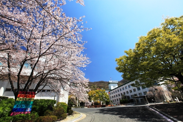 大阪私立中学校高等学校連合会 | 学校検索