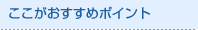 �������������߃|�C���g